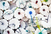 images/Weddings/11.jpg
