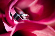 images/Weddings/7.jpg